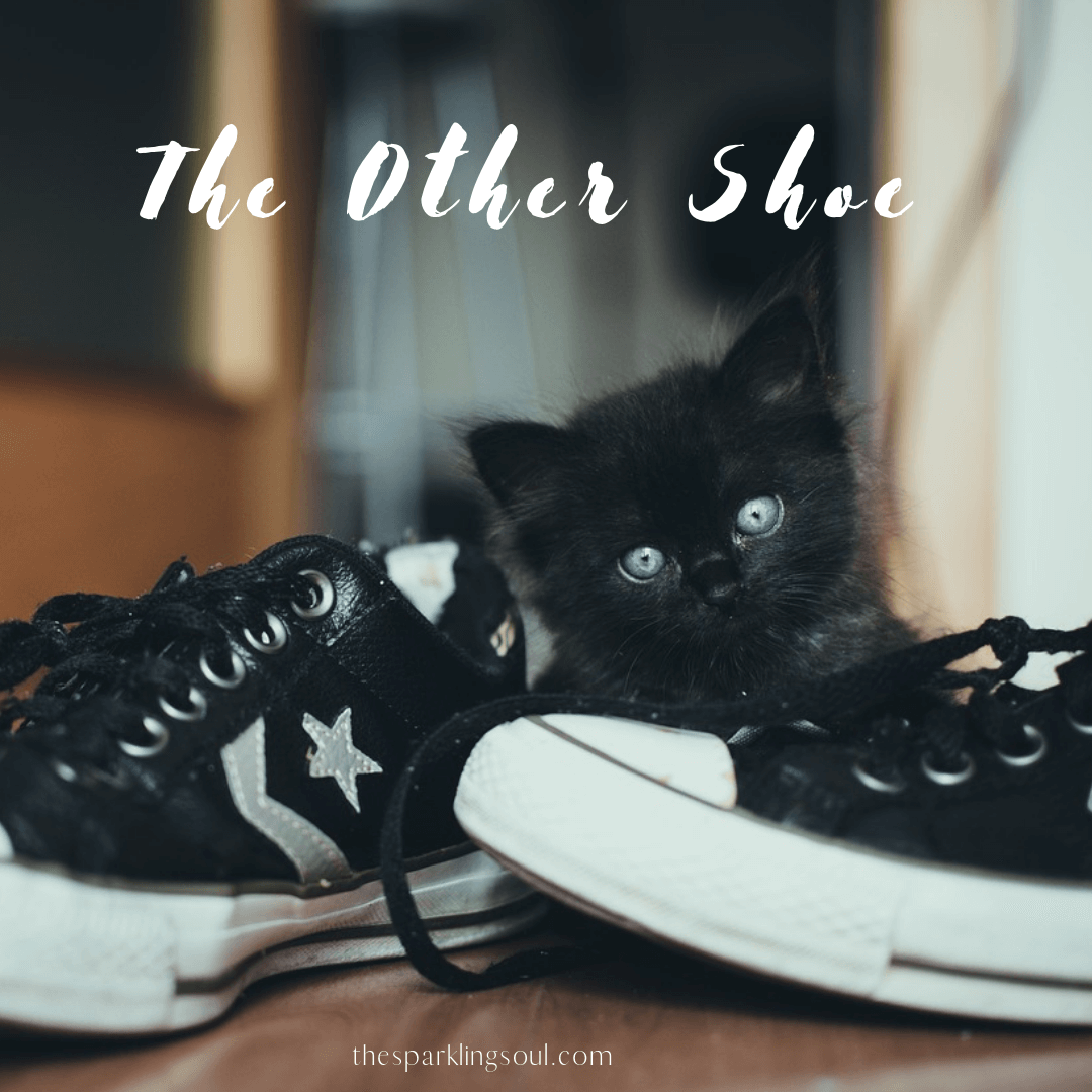 Read more about the article The Other Shoe