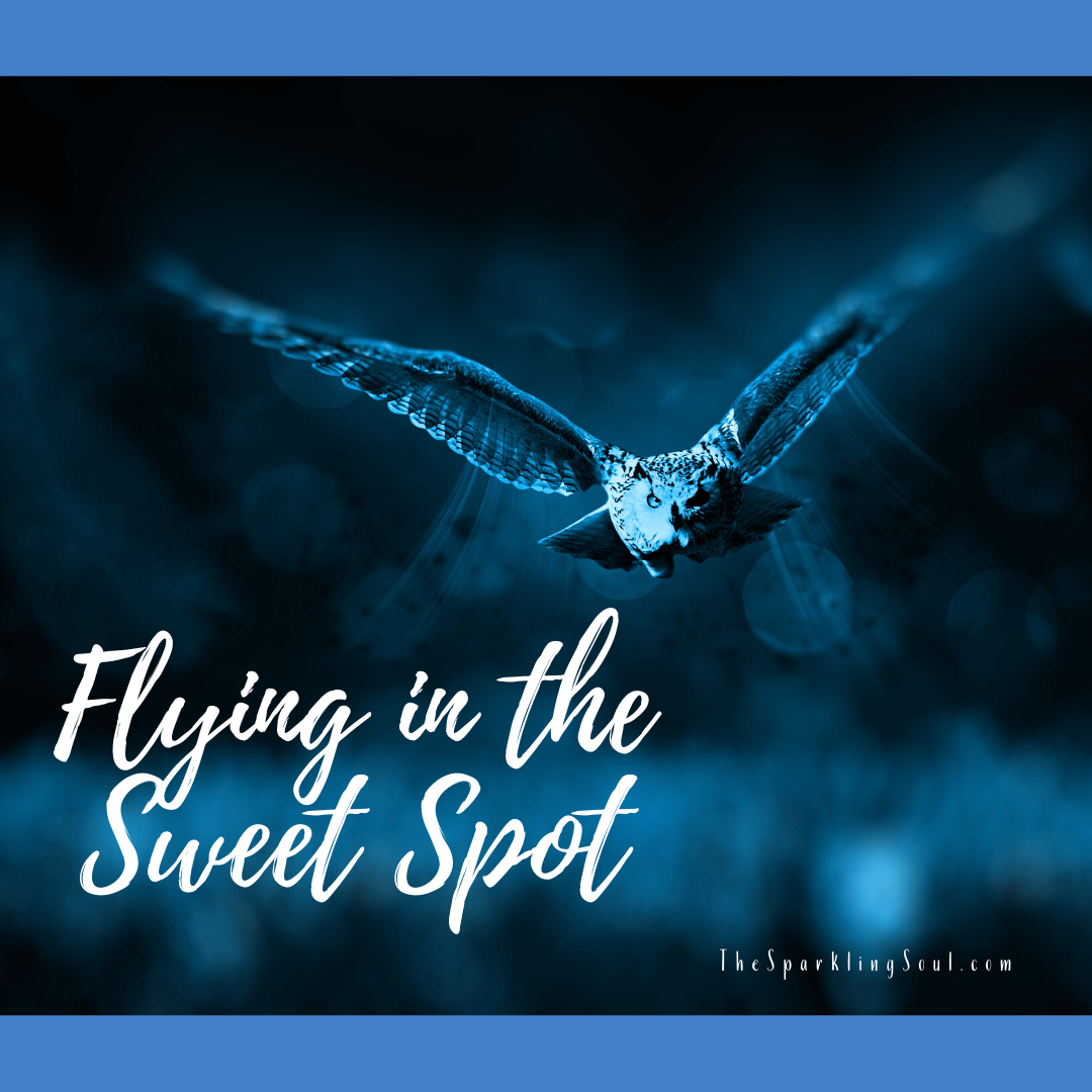Read more about the article Flying in the Sweet Spot