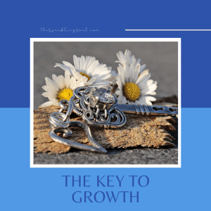 Read more about the article The Key to Growth