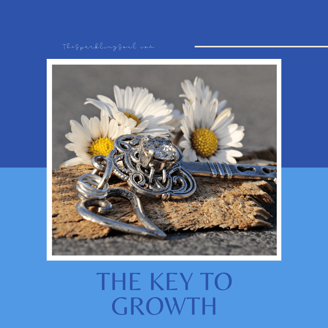Read more about the article The Key to Growth